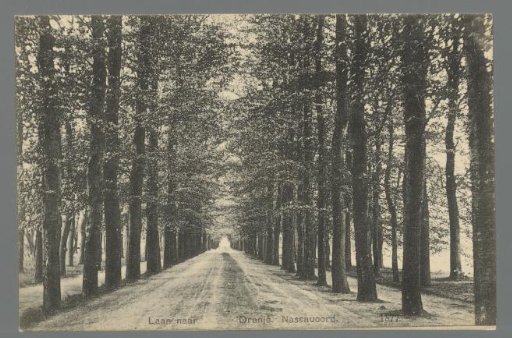 Avenue to Oranje Nassauoord