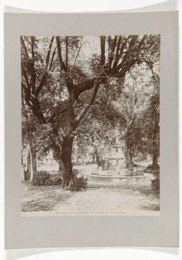 Fountain and Trees at the Villa Borghese