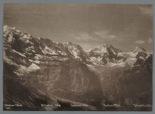 View of the Silberhorn, the Mittaghorn, the Grosshorn, the Breithorn and the Tschingelhorn in the Bernese Alps