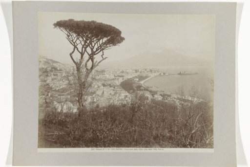 View of Naples (the Vomero district?) with a stone pine in the foreground