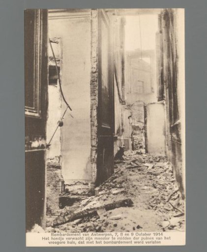 The Little Dog Waits for His Master Amidst the Rubble of the Former House, Abandoned During the Bombardment