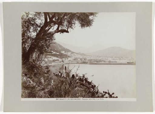 View of Salerno and its harbour