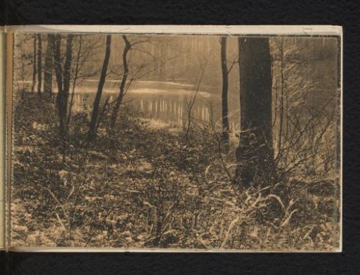 Pond of the Drowned Children