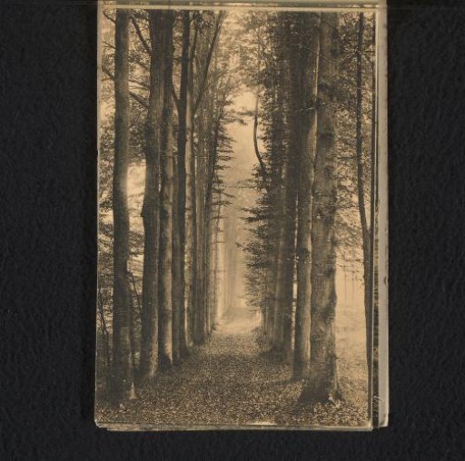 Path of the Drowned Children