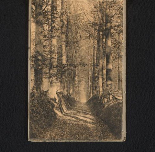 Path of the Count