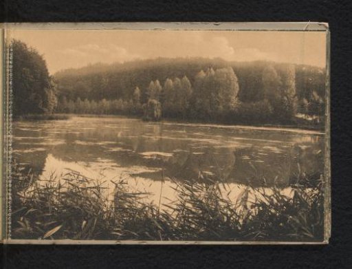 Pond of Rouge Cloître