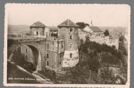 Namur. Castle of the Counts
