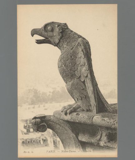 Paris. Notre-Dame. Chimera