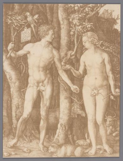 Photographic reproduction of the engraving Adam and Eve by Albrecht Dürer