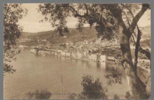 Villefranche seen through the Olive Trees