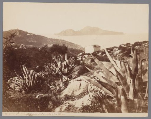 Capri seen from Sorrento on the mainland with aloe vera in the foreground