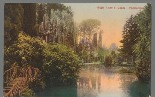 Lake Garda. Vegetation