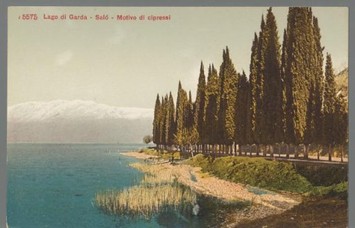 Lake Garda. Salò. Motif of cypress trees