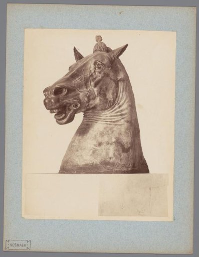 Sculpture of a horse's head in the Museo Archeologico Nazionale, Naples
