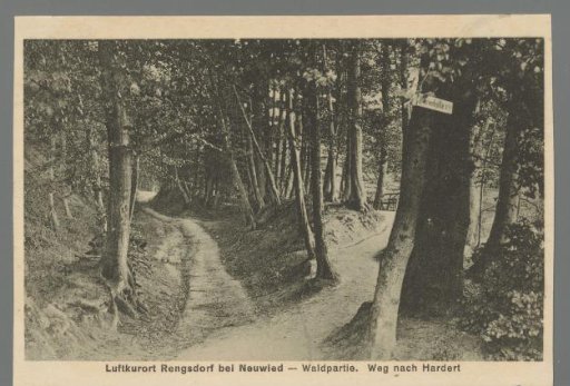 Health Resort Rengsdorf near Neuwied - Forest Scene. Path to Hardert