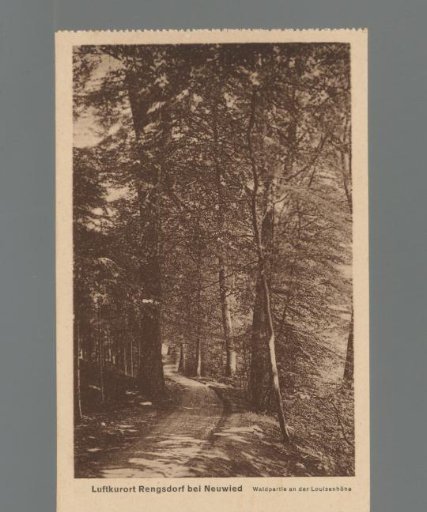 Rengsdorf, a health resort near Neuwied. Wooded area at the Louisenhöhe