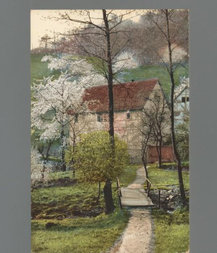View of a house in a wooded area
