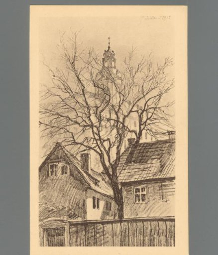 Rudolstadt. View of the Castle from the Grand Avenue