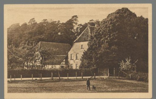 Forest House Kreuzkrug near Schlangen