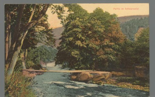 View in the Schwarzatal