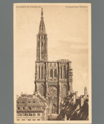Cathedral of Strasbourg / Strassburger Münster