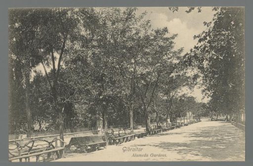 Gibraltar. Alameda Gardens
