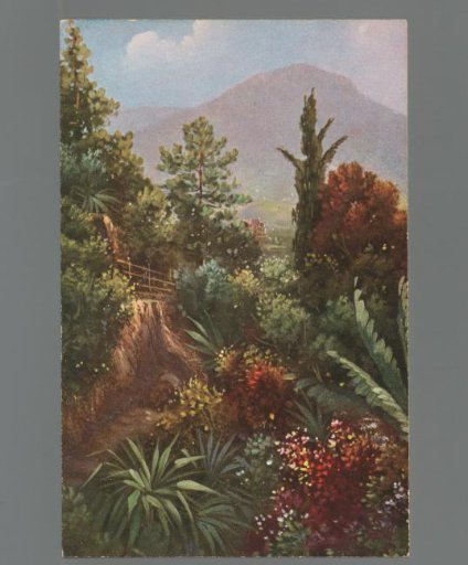 Vegetation in the Gilfanlage