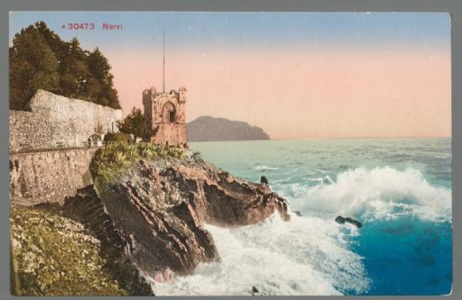 Nervi