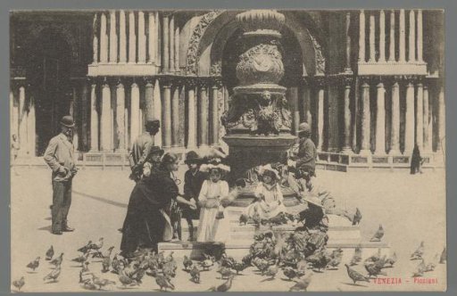 Venice. Pigeons