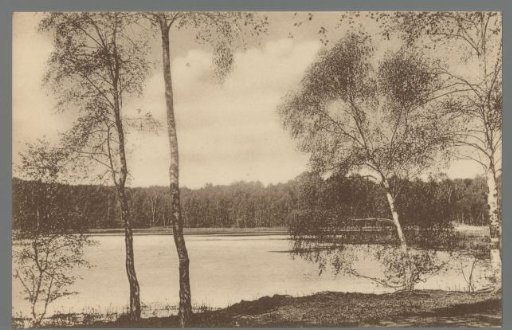 Skodsborg. Böllemosen