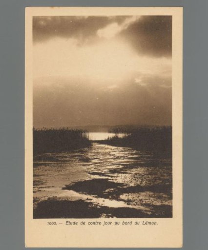 Study of backlighting on the shores of Lake Geneva