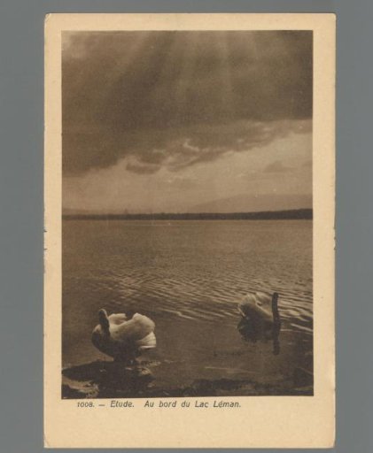 Study. On the shores of Lake Geneva