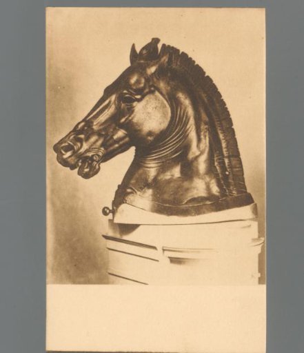 Florence - R. Museo Archeologico (Greek Section). Head of a Horse. (5th Century BC)
