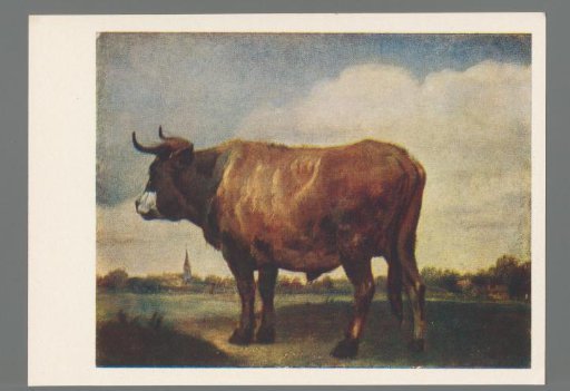 Paulus Potter - Bull