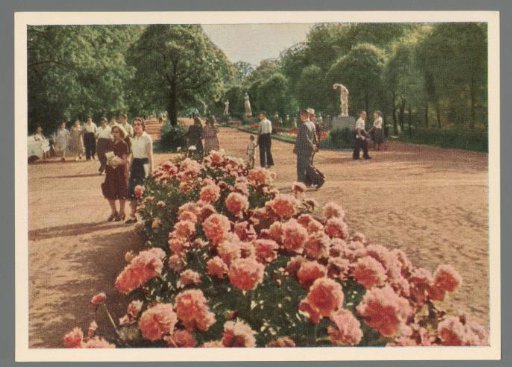 Moscow. The Gorky Central Recreation Park