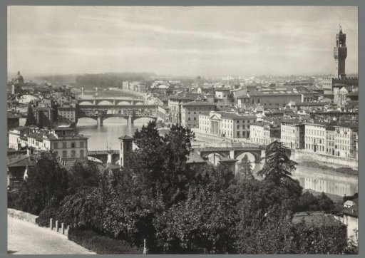 Florence. Panorama