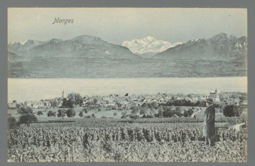 Morges