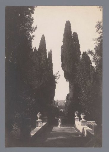 Cypresses in the gardens of Villa d'Este, Tivoli
