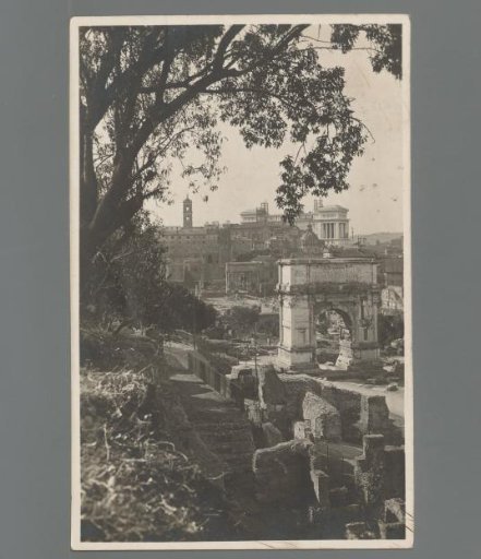 Rome. Roman Forum from the Palatine Hill