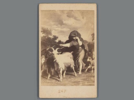 Photographic reproduction of a print of a goat herder
