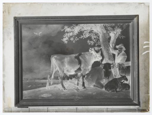 Photographic reproduction of the painting The Bull by Paulus Potter
