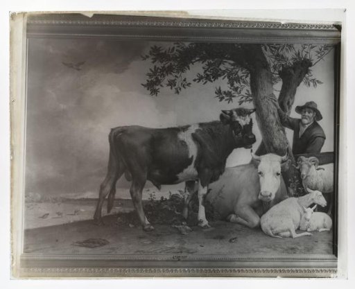 Photographic reproduction of the painting The Bull by Paulus Potter