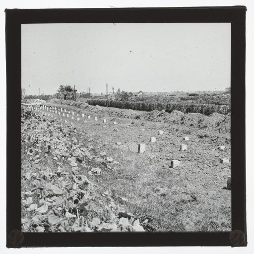 Construction site with piles, South Holland