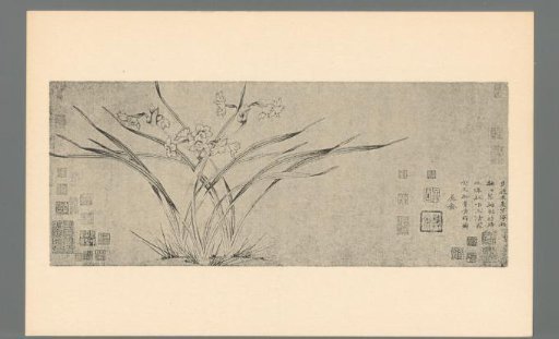 Narcissus. Chinese, Sung dynasty