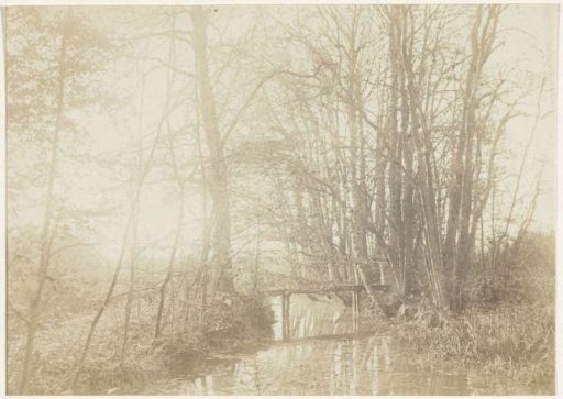 Forest landscape with stream and bridge