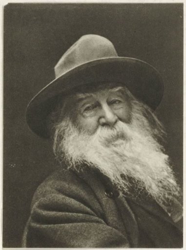Portrait of the poet Walt Whitman
