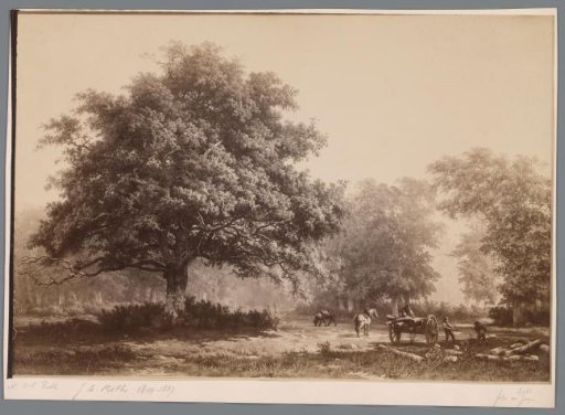 Photographic reproduction of the painting 'View in the Bentheim Forest' by George Andries Roth