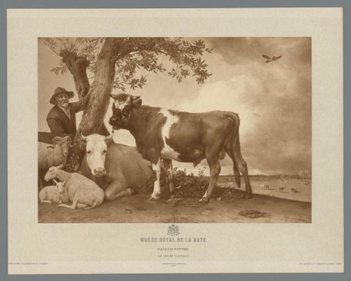 Photographic reproduction of the painting The Bull by Paulus Potter