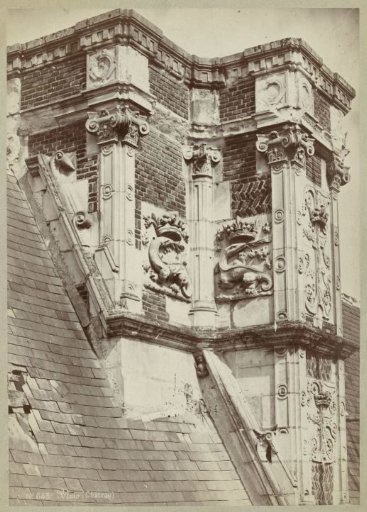 Decorated Chimneys of the Château of Blois