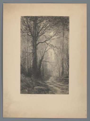 Reproduction of a drawing with forest by Auguste Allongé